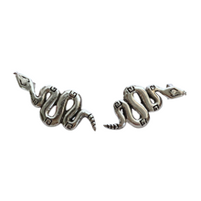 Load image into Gallery viewer, Rising Serpent Silver Earrings